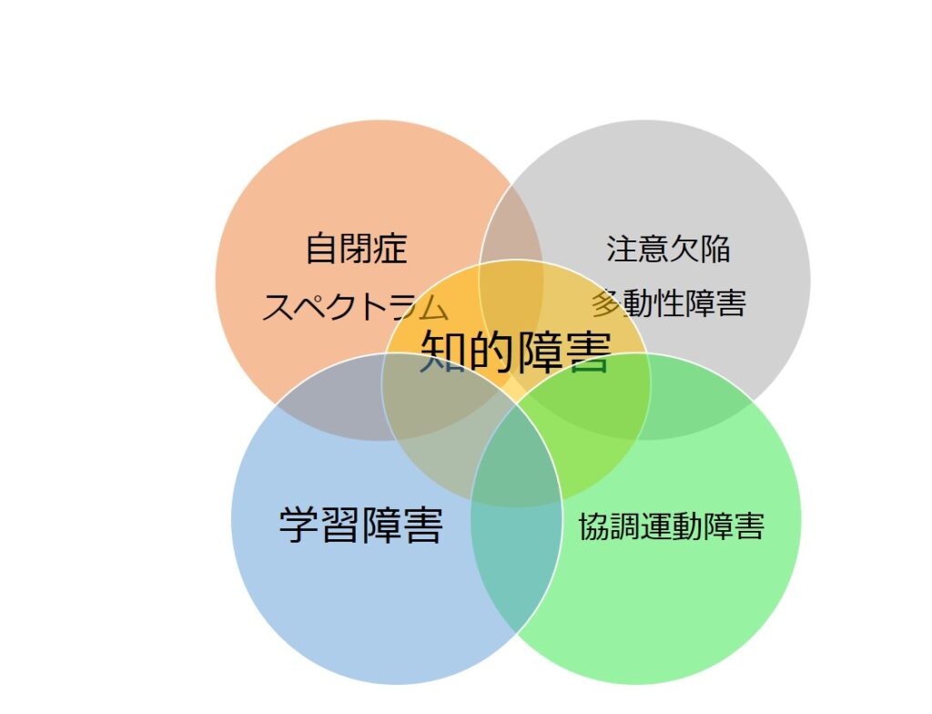 知的障害を含む発達障害をスペクトラムとして捉える考え方