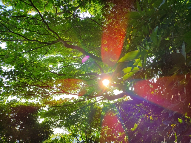 不登校　子どもの心理